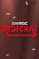 MBC Drama Awards (2019)